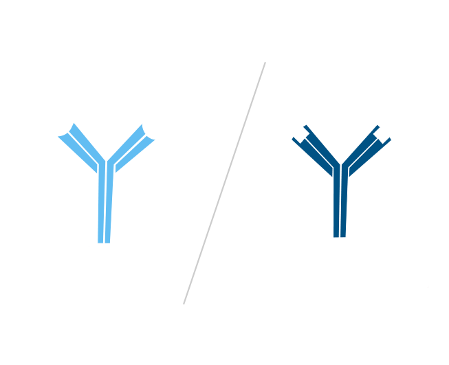 Use of FabuLight - labeled primaries for two antigens on tissue: step three part one.