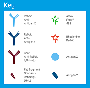 Example A: Key of Elements.