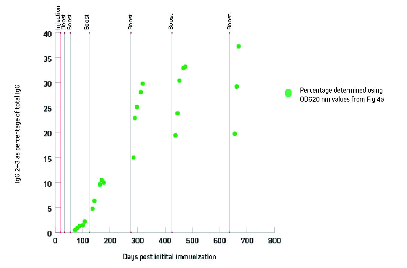 Percentage of IgG 2+3 compared to total IgG by ELISA