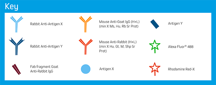 Example B: Key of Elements.