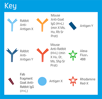 Example B: Key of Elements.