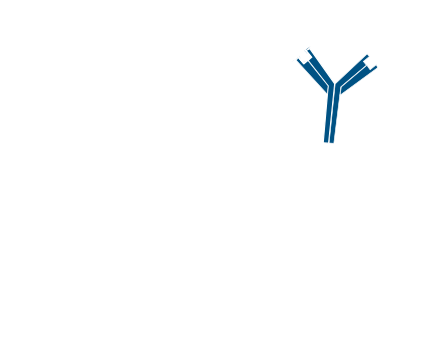 Use of unconjugated Fab fragments to cover the first primary antibody, presenting it as a different species: step four.