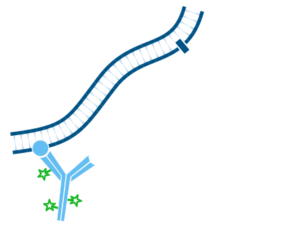 Use of unconjugated Fab fragments for detection of one unlabeled and one or more labeled primary antibodies: step one.