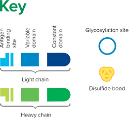 Key of elements