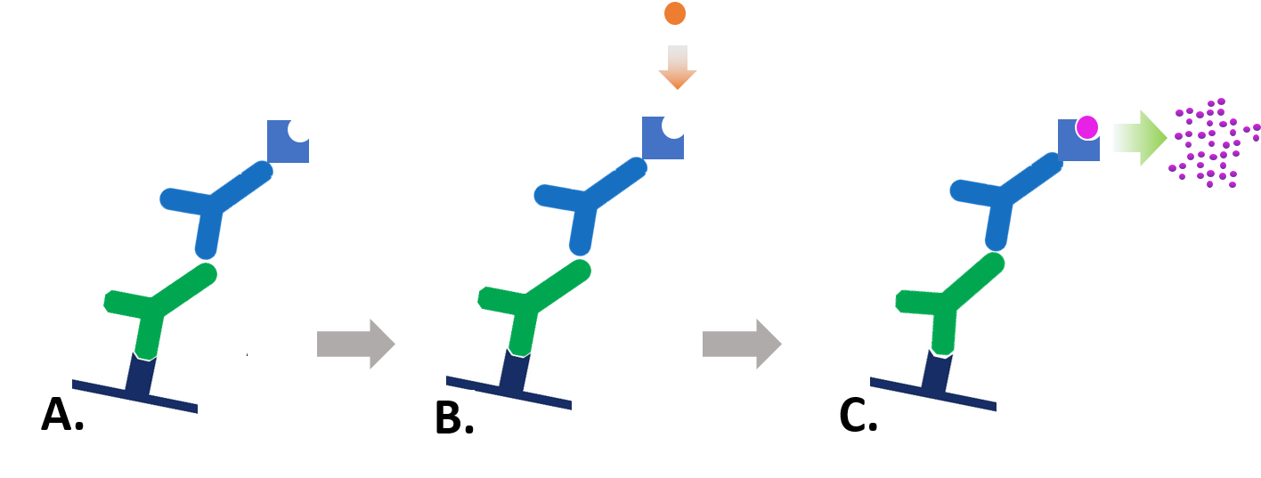 colorimetricstep